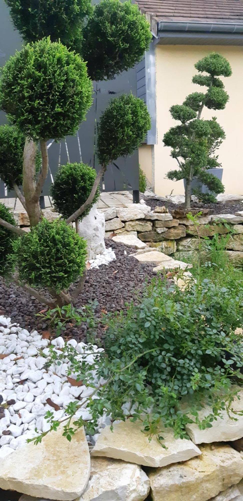La Villanelle Maison D'Hotes Pelousey Exterior foto
